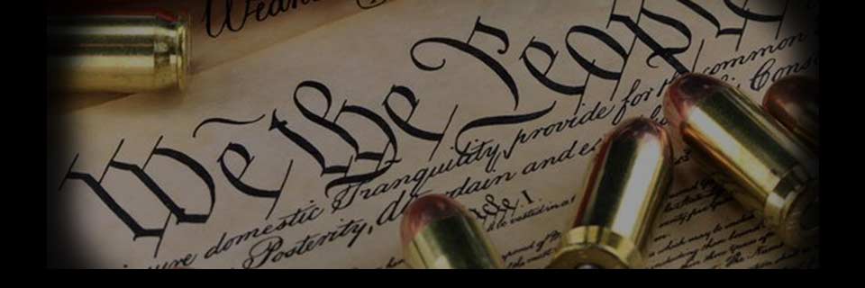 Constitution Image